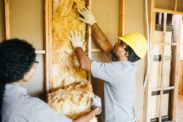 Best Attic Insulation Installation  in Bay City, MI